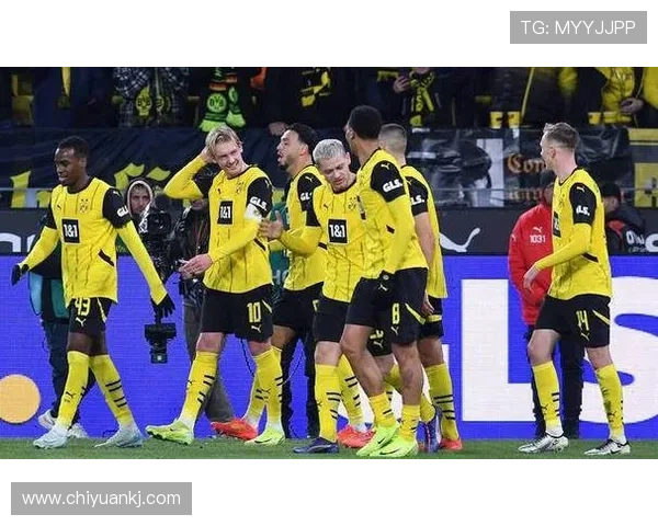 多特蒙德本赛季表现稳健，竞争力持续提升