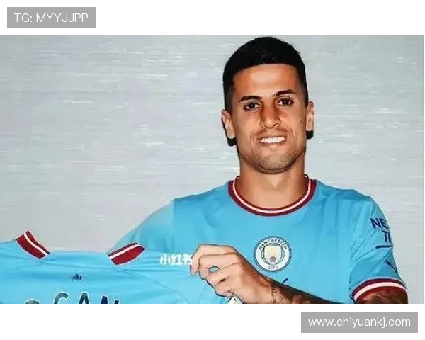 坎塞洛技术特点 坎塞洛技术特点